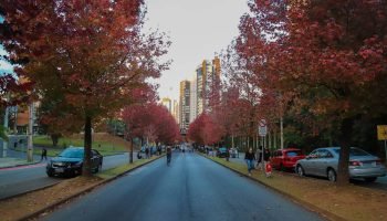 Foto: Foto: Geraldo Bubniak/AEN