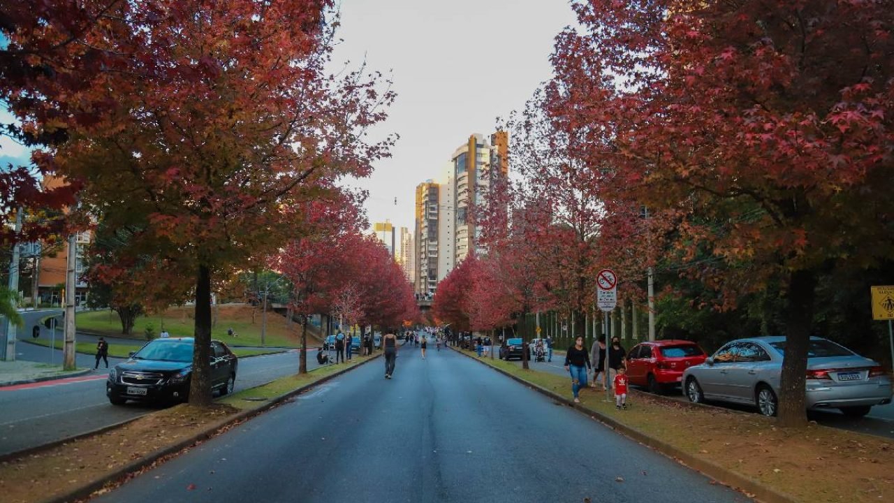 Foto: Foto: Geraldo Bubniak/AEN