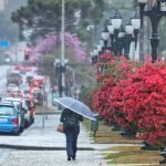 Foto: Foto: José Fernando Ogura/AEN
