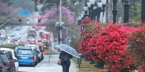 Foto: Foto: José Fernando Ogura/AEN