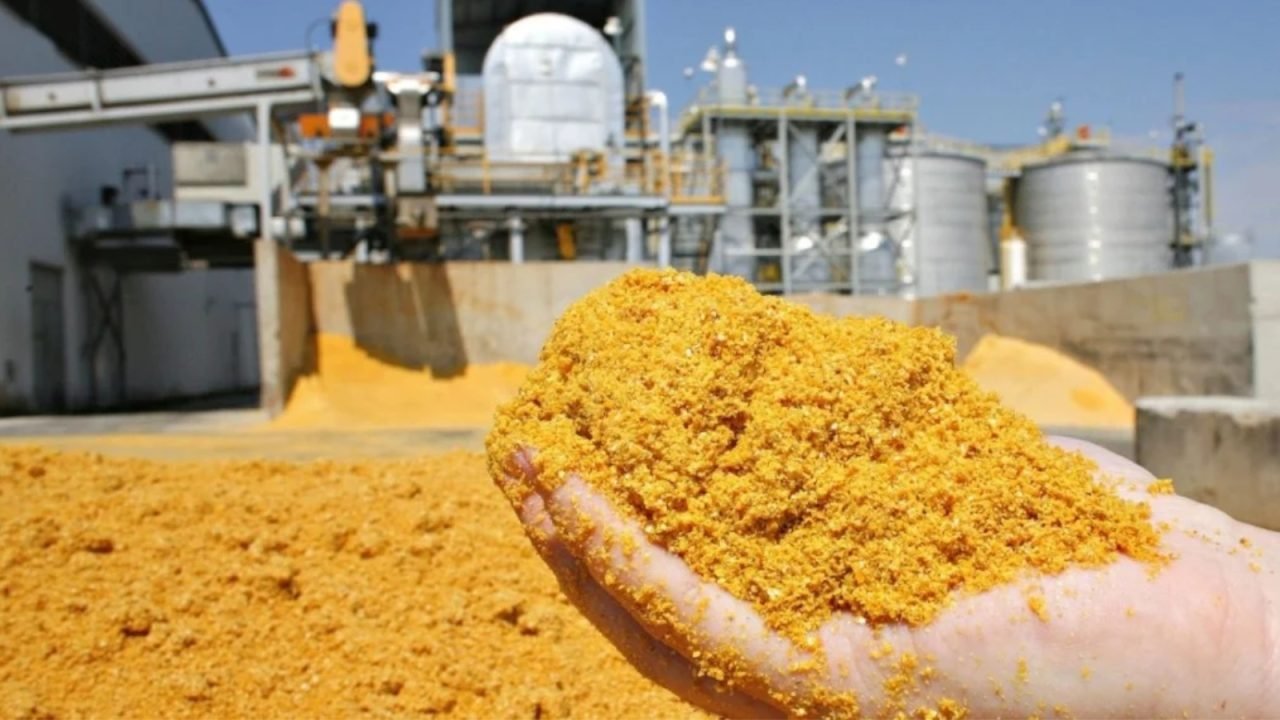 producao-de-ddg-no-pais-pode-superar-15-milhoes-de006738820202609251819.jpg