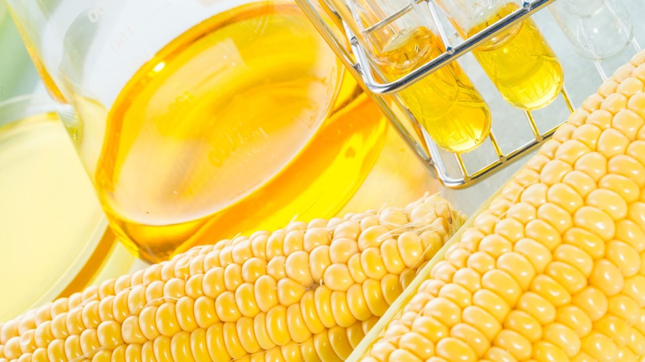 producao-de-etanol-de-milho-deve-atingir-118-bilho006741610202609281336.jpg