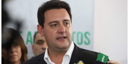 ratinho-candidato-presidencia