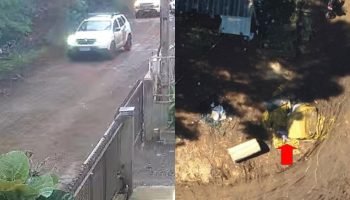 Recém-nascido foi encontrado morto em sacola, em Clevelândia. — Foto: Recém-nasc