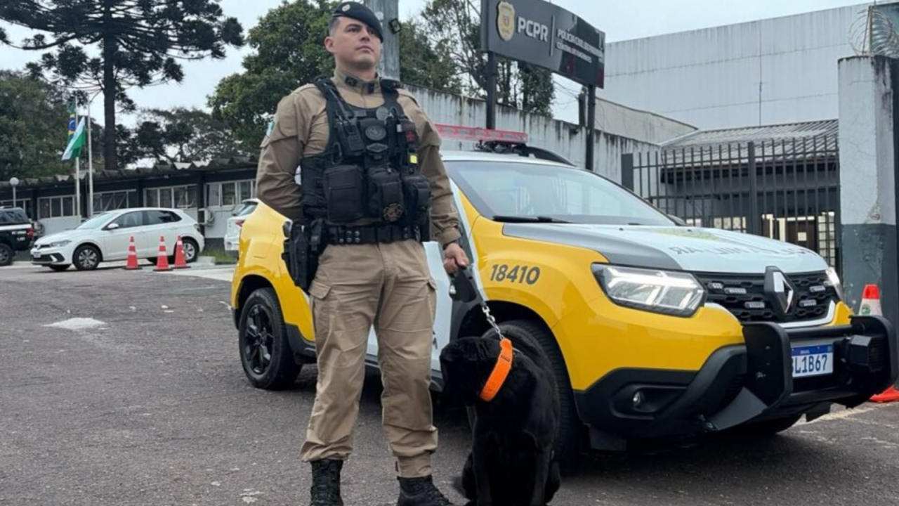 resolucao-fotos-site-63006726770202609182129.png
