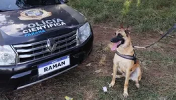 Foto: relogio