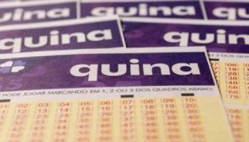 Foto: Foto: Reprodução/Adobe Stock