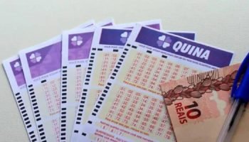 Foto: Foto: Reprodução/Adobe Stock