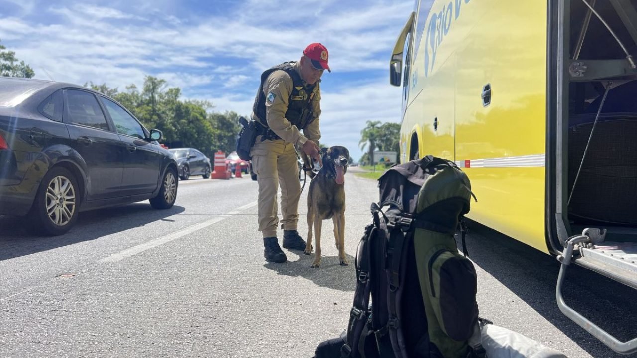 Fiscalização nas rodovias do Paraná — Foto: Foto: Cb. Mauro Berg/CCOMSOC/PMPR