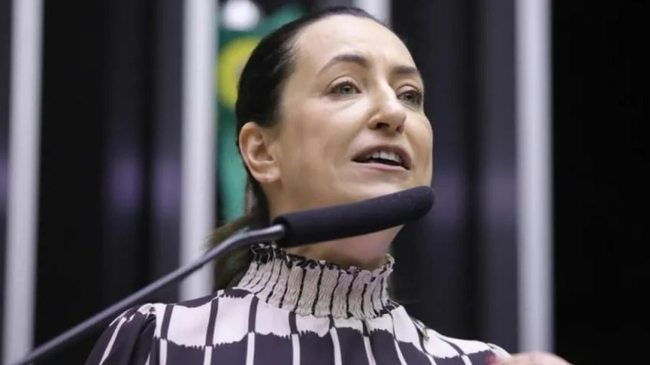 Rosângela Moro (Foto: Mario Angra/Câmara dos Deputados)