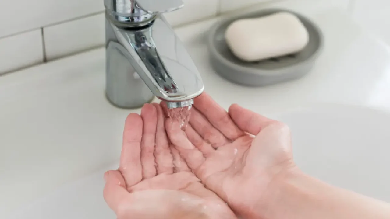 Foto: Reprodução/Freepik