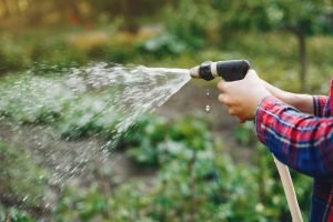 Falta de água atinge bairros da Grande Curitiba. — Foto: Reprodução/Freepik