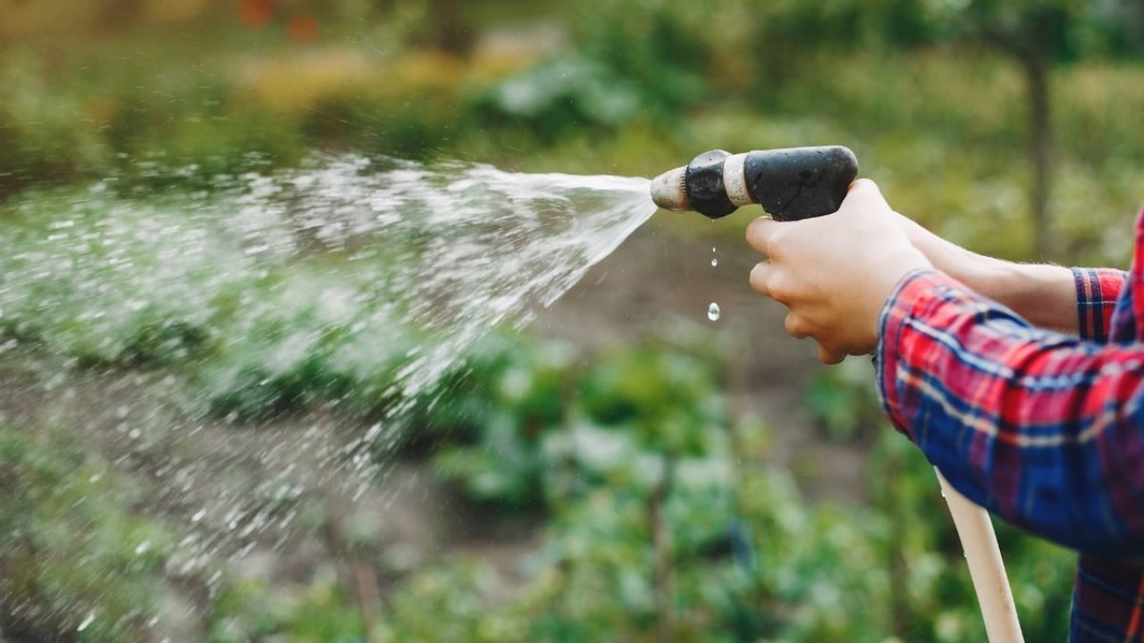 Falta de água atinge bairros da Grande Curitiba. — Foto: Reprodução/Freepik