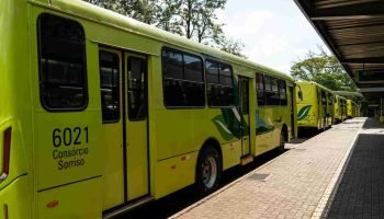 stf-consorcio-sorriso-foz-do-iguacu