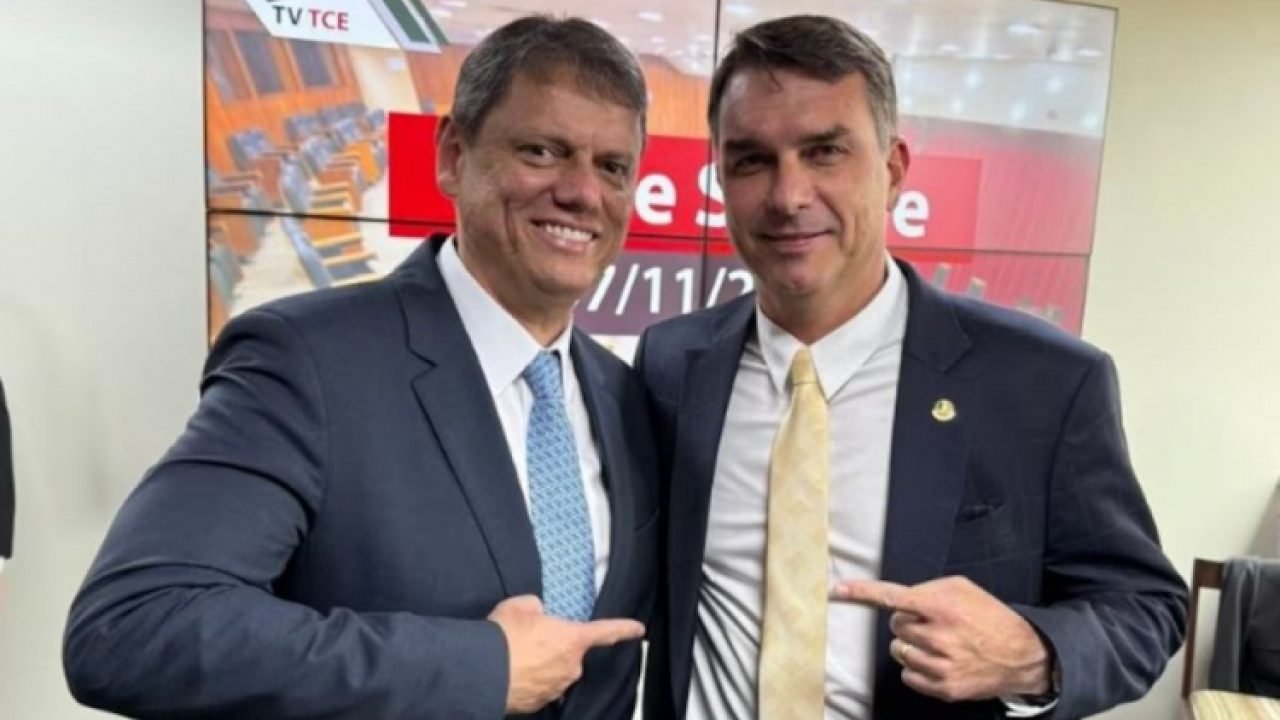 tarcisio-de-freitas-e-flavio-bolsonaro-750x450-1