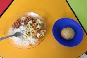 tcu-aponta-r-28-bilhoes-da-merenda-escolar-sem-analise-de-contas-300x200-1