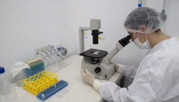 Foto: Governo do Paraná