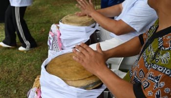 Porta de entrada para artistas e gestores culturais no Paraná — Foto: Governo do