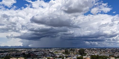 Foto: Roberto Dziura Jr/AEN