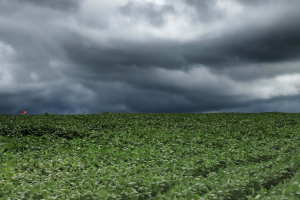 tempestade006651750202608060836.png