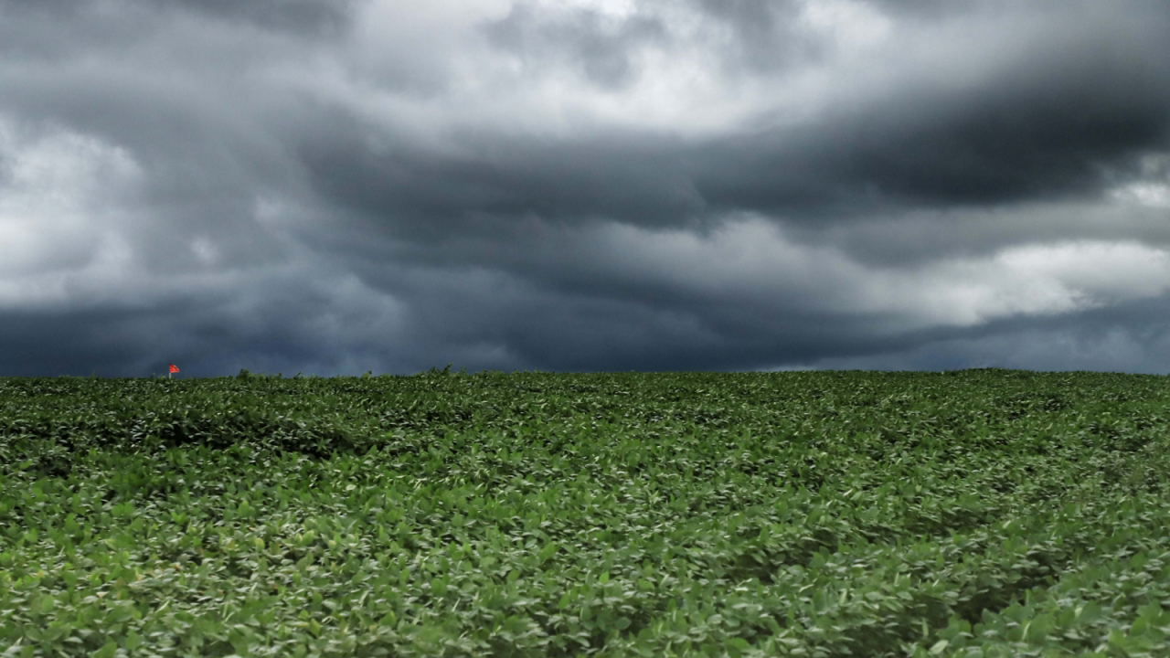 tempestade006651750202608060836.png