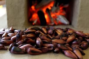 Foto: Foto: Gilson Abreu/Arquivo AEN