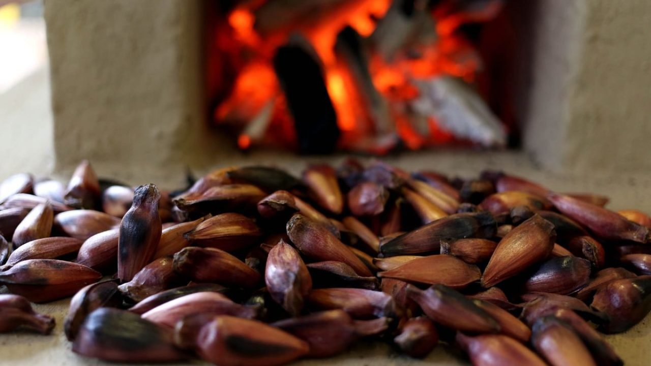 Foto: Foto: Gilson Abreu/Arquivo AEN