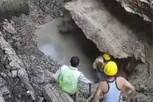 Foto: (Reprodução/X)