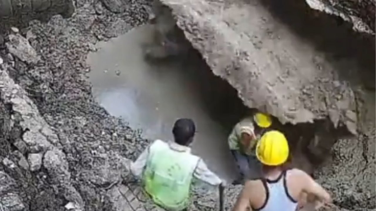 Foto: (Reprodução/X)