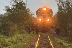 trem006664040202608130844.png
