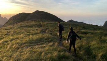 Foto: Governo do Paraná