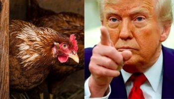 Trump — Foto: H2FOZ