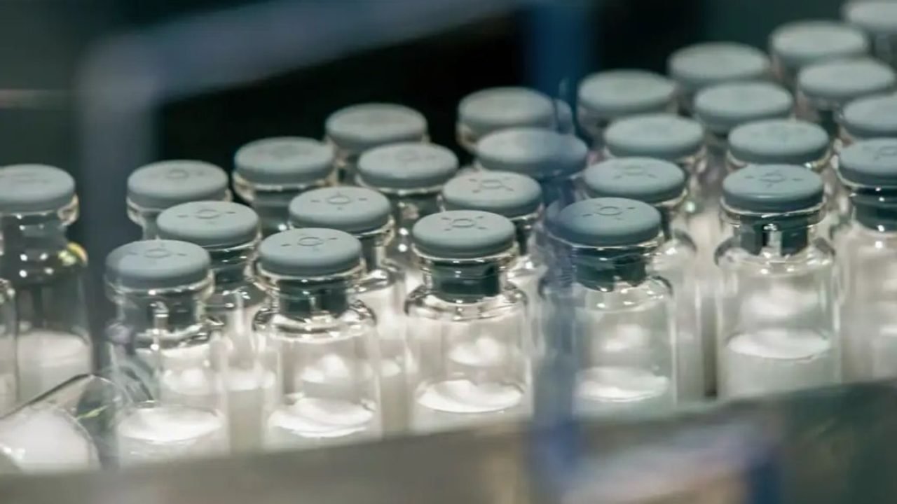 Foto: Butantan/Divulgação