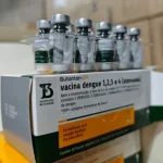 Foto: Reprodução/Adobe Stock