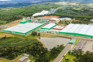 Foto: Foto: Divulgação