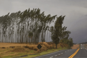 ventos-100-km-brasil-960x592-1