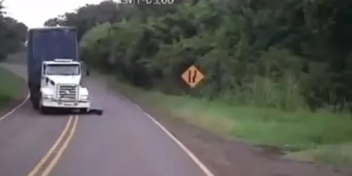 video-batida-caminhoes-matou-quatro-pessoas-parana006415620202605192029.webp.webp