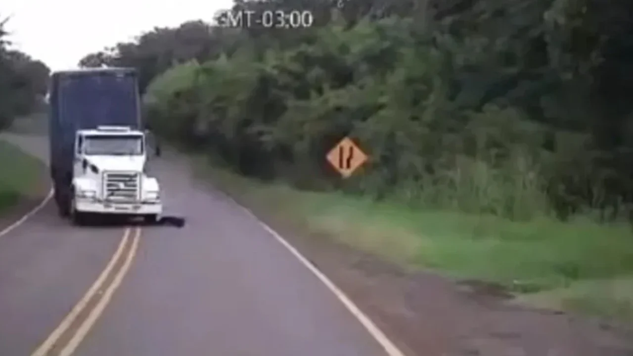 video-batida-caminhoes-matou-quatro-pessoas-parana006415620202605192029.webp.webp