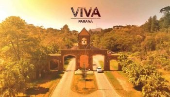 viiva-vera-parana