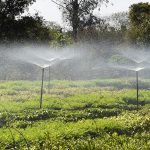 Foto: Governo do Paraná