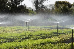 Foto: Governo do Paraná