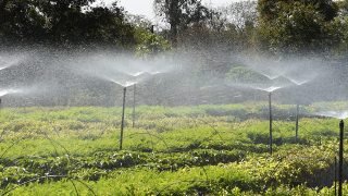 Foto: Governo do Paraná
