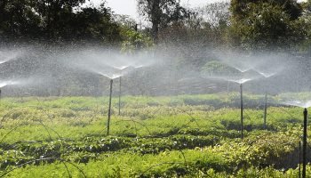 Foto: Governo do Paraná