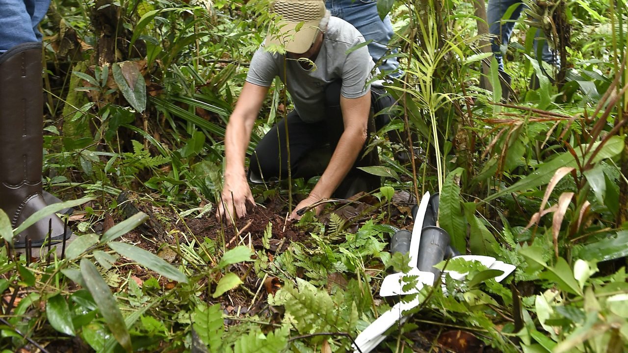 Foto: Governo do Paraná