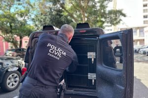 Polícia Civil conclui inquérito sobre homicídio em Iguatu — Foto: Governo do Par