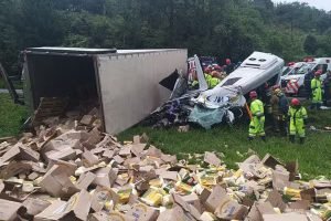 Foto: Governo do Paraná