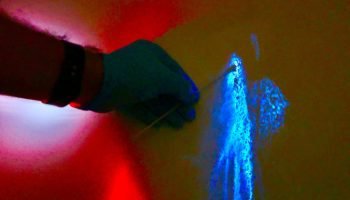 Luminol reforça atuação da Polícia Científica — Foto: Governo do Paraná