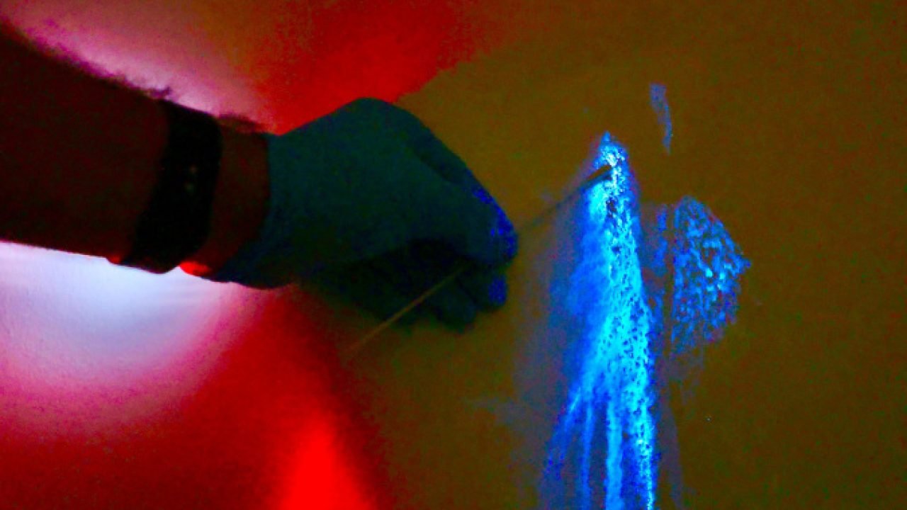 Luminol reforça atuação da Polícia Científica — Foto: Governo do Paraná