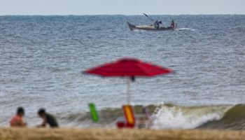 Foto: Governo do Paraná