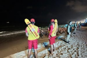 Foto: Governo do Paraná